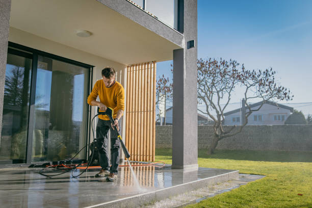 Best Graffiti Removal Services in Limesa, CA